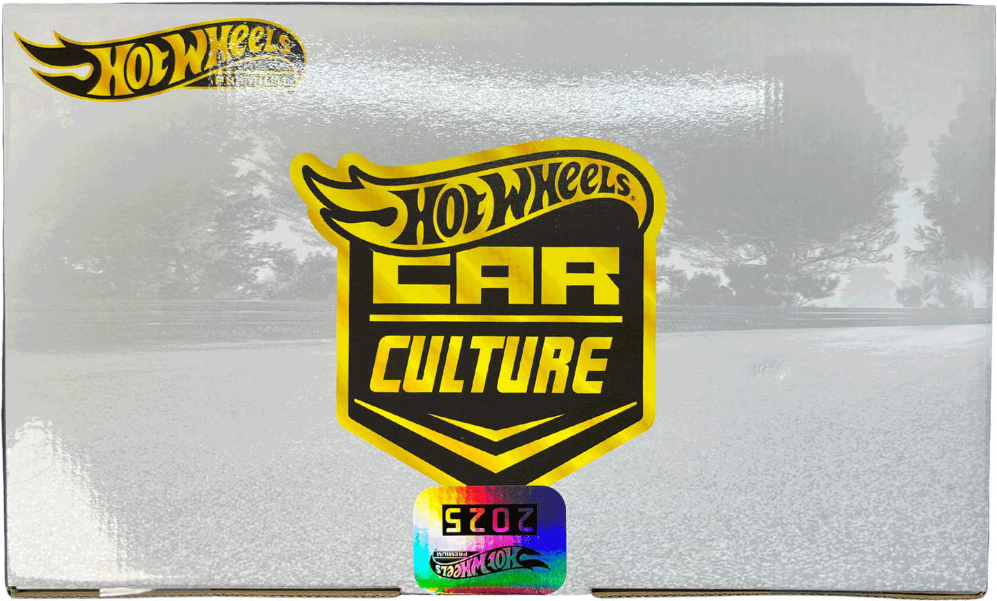 Hot Wheels Factory Set 2025 3/4 inkl. Hot Wheels Ferrari 499p & Bugatti Bolide CHASE! | 1:64